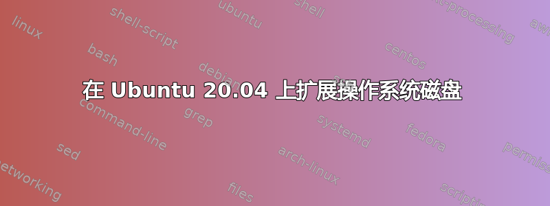 在 Ubuntu 20.04 上扩展操作系统磁盘