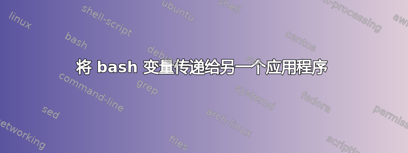 将 bash 变量传递给另一个应用程序