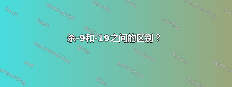 杀-9和-19之间的区别？