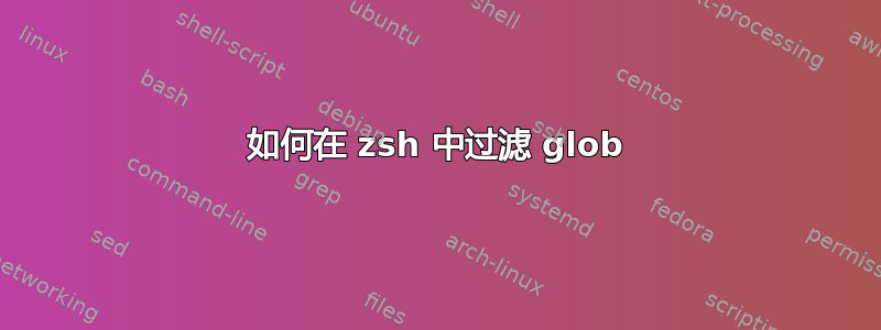 如何在 zsh 中过滤 glob