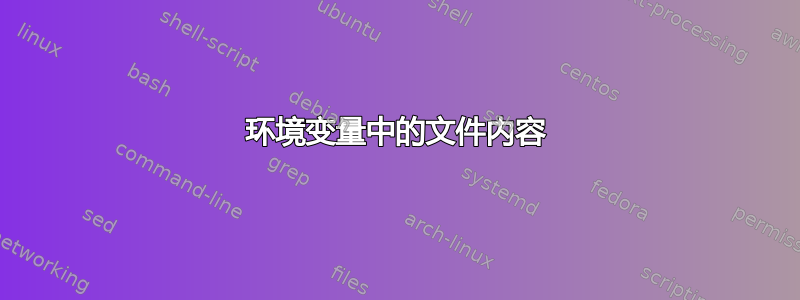 环境变量中的文件内容