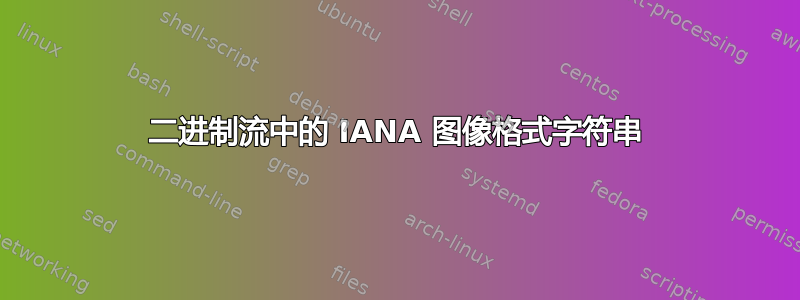 二进制流中的 IANA 图像格式字符串