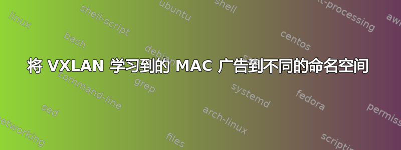 将 VXLAN 学习到的 MAC 广告到不同的命名空间