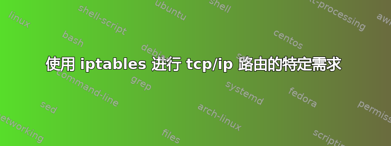 使用 iptables 进行 tcp/ip 路由的特定需求