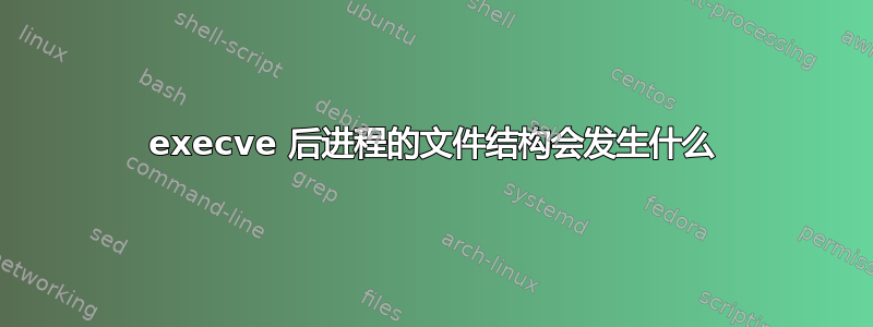 execve 后进程的文件结构会发生什么