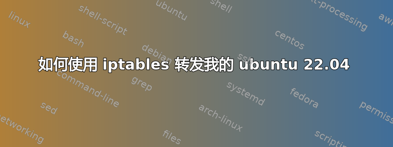 如何使用 iptables 转发我的 ubuntu 22.04