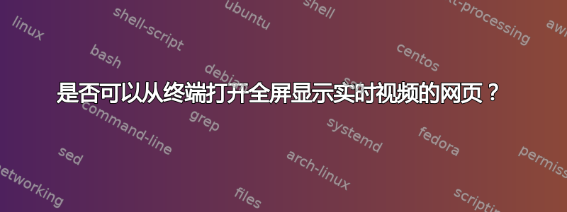 是否可以从终端打开全屏显示实时视频的网页？