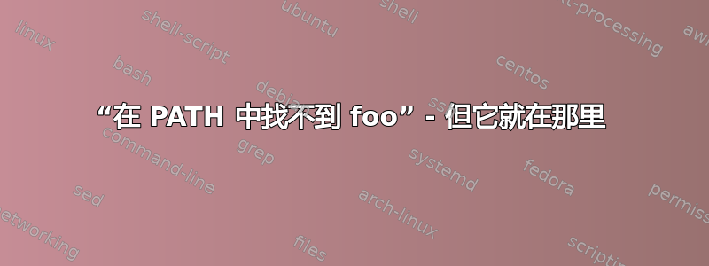 “在 PATH 中找不到 foo” - 但它就在那里