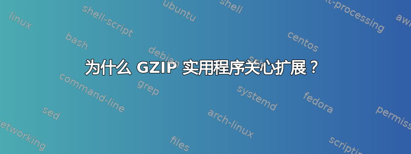 为什么 GZIP 实用程序关心扩展？