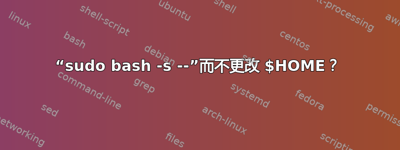 “sudo bash -s --”而不更改 $HOME？