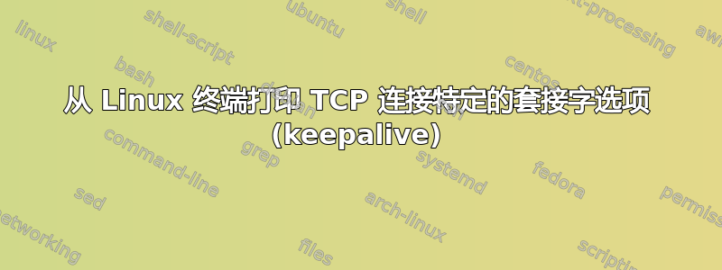 从 Linux 终端打印 TCP 连接特定的套接字选项 (keepalive)