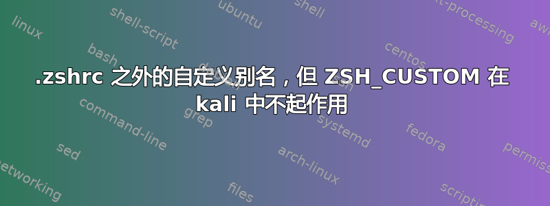 .zshrc 之外的自定义别名，但 ZSH_CUSTOM 在 kali 中不起作用