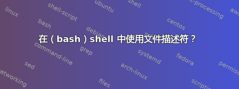 在（bash）shell 中使用文件描述符？