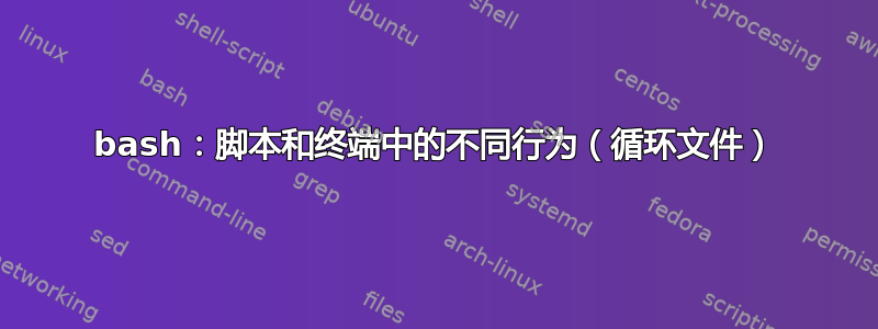 bash：脚本和终端中的不同行为（循环文件）