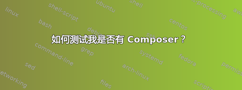 如何测试我是否有 Composer？