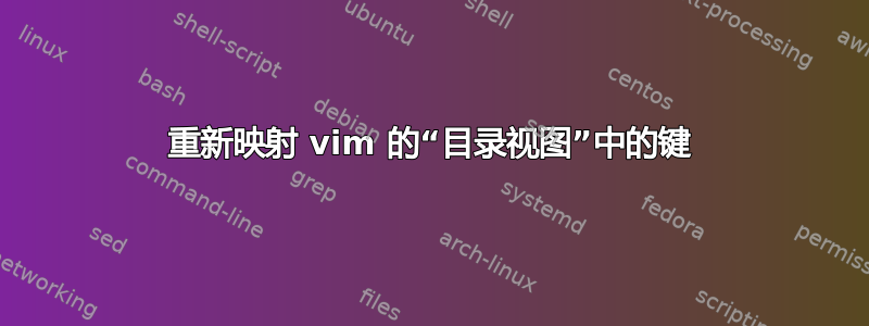 重新映射 vim 的“目录视图”中的键