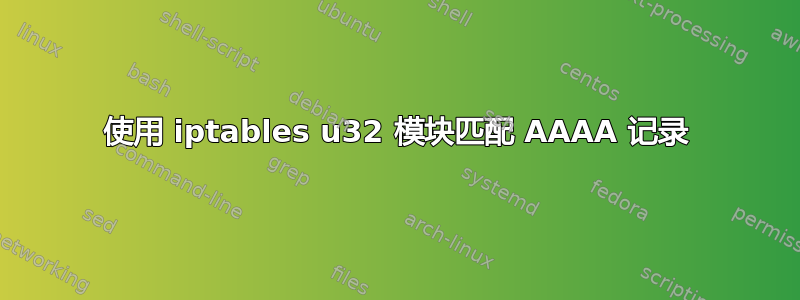 使用 iptables u32 模块匹配 AAAA 记录