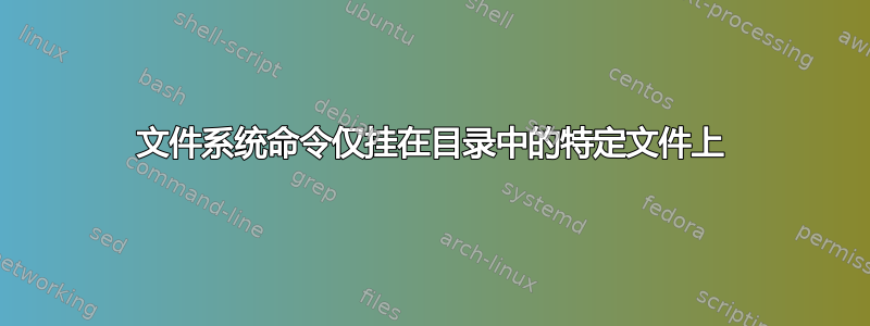 文件系统命令仅挂在目录中的特定文件上