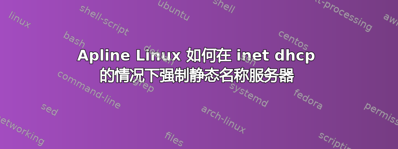 Apline Linux 如何在 inet dhcp 的情况下强制静态名称服务器