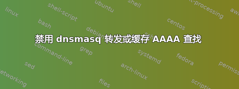 禁用 dnsmasq 转发或缓存 AAAA 查找