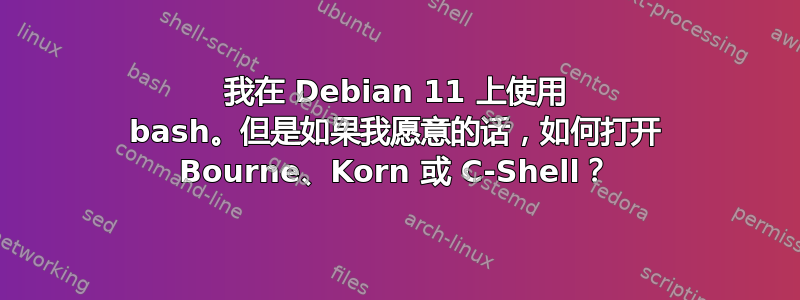 我在 Debian 11 上使用 bash。但是如果我愿意的话，如何打开 Bourne、Korn 或 C-Shell？