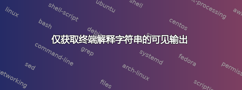 仅获取终端解释字符串的可见输出