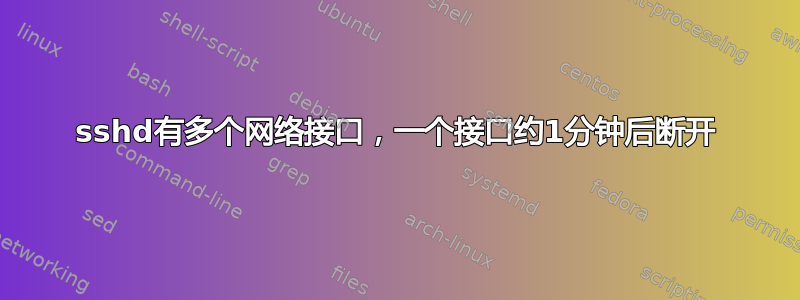 sshd有多个网络接口，一个接口约1分钟后断开