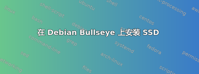 在 Debian Bullseye 上安装 SSD