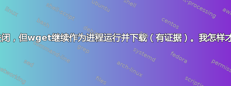 在linux中，终端意外关闭，但wget继续作为进程运行并下载（有证据）。我怎样才能把它再次带到终端？