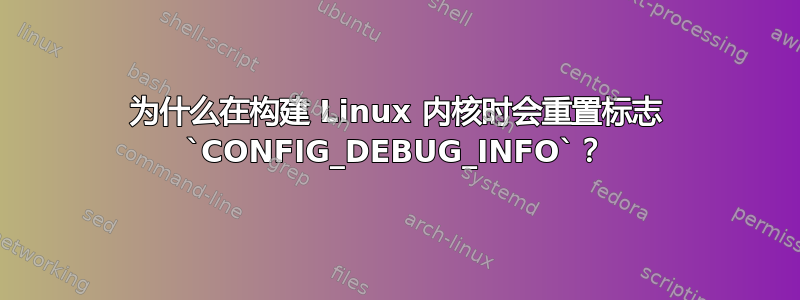 为什么在构建 Linux 内核时会重置标志 `CONFIG_DEBUG_INFO`？