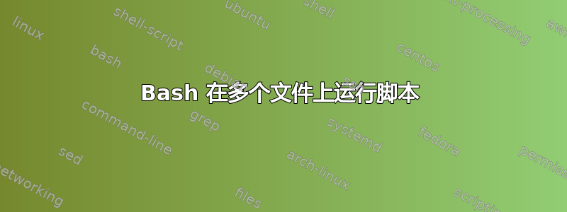 Bash 在多个文件上运行脚本