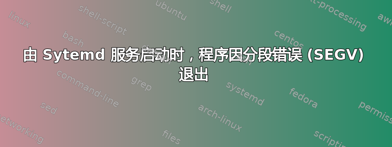 由 Sytemd 服务启动时，程序因分段错误 (SEGV) 退出