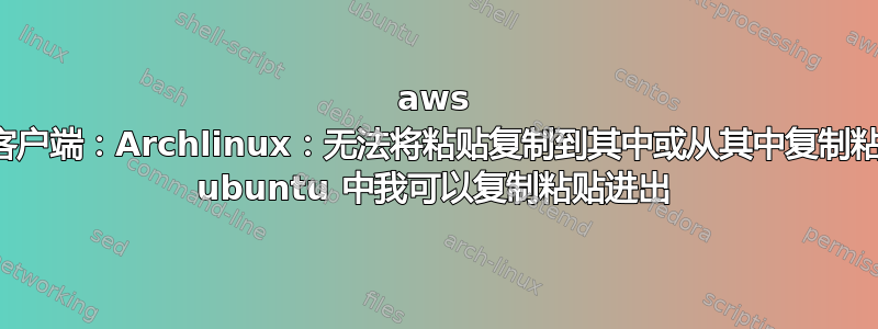 aws 工作区客户端：Archlinux：无法将粘贴复制到其中或从其中复制粘贴。在 ubuntu 中我可以复制粘贴进出