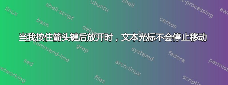 当我按住箭头键后放开时，文本光标不会停止移动