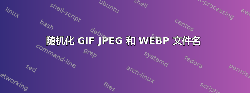 随机化 GIF JPEG 和 WEBP 文件名