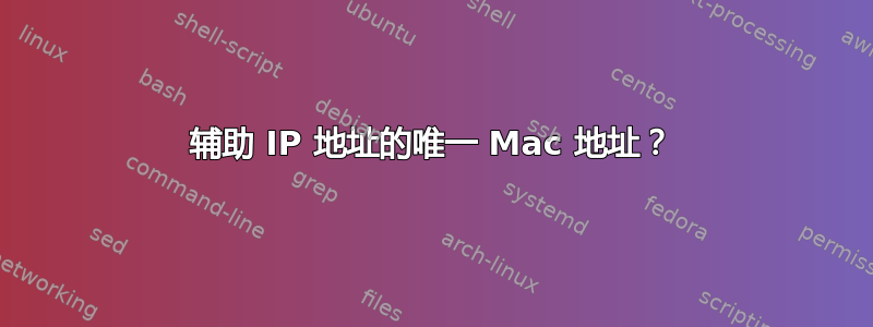 辅助 IP 地址的唯一 Mac 地址？