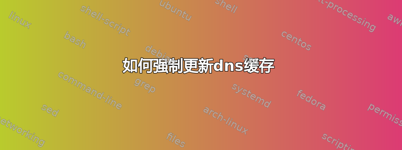 如何强制更新dns缓存