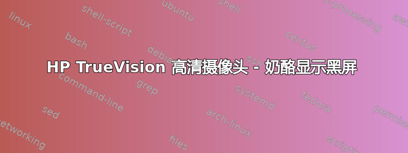 HP TrueVision 高清摄像头 - 奶酪显示黑屏