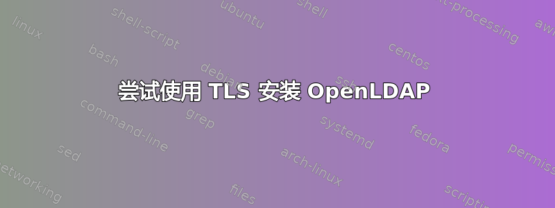 尝试使用 TLS 安装 OpenLDAP