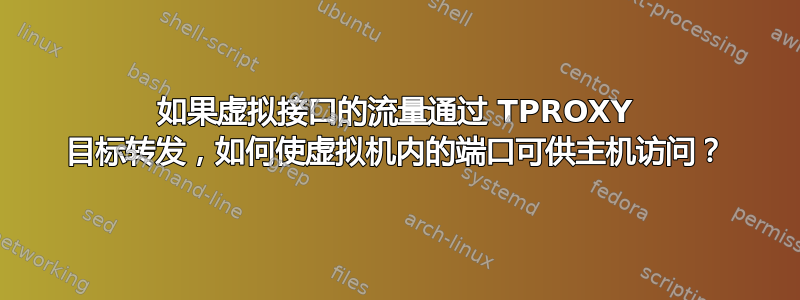 如果虚拟接口的流量通过 TPROXY 目标转发，如何使虚拟机内的端口可供主机访问？