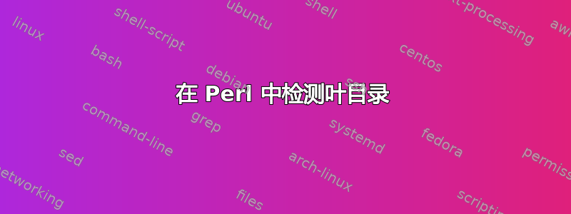 在 Perl 中检测叶目录