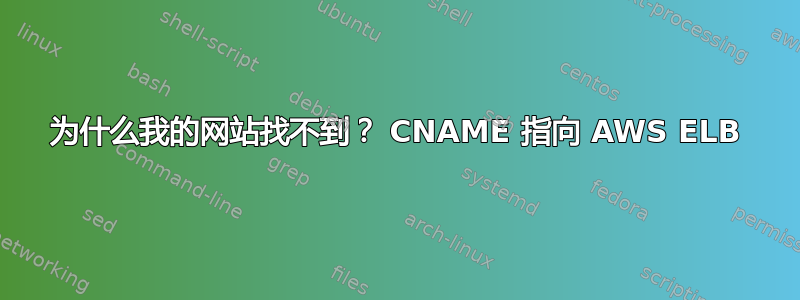 为什么我的网站找不到？ CNAME 指向 AWS ELB