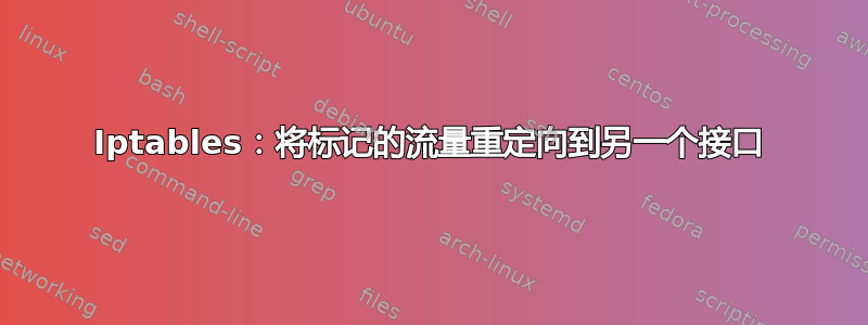 Iptables：将标记的流量重定向到另一个接口