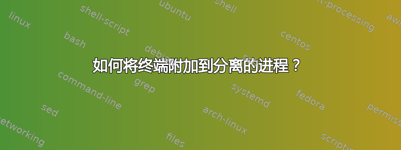 如何将终端附加到分离的进程？