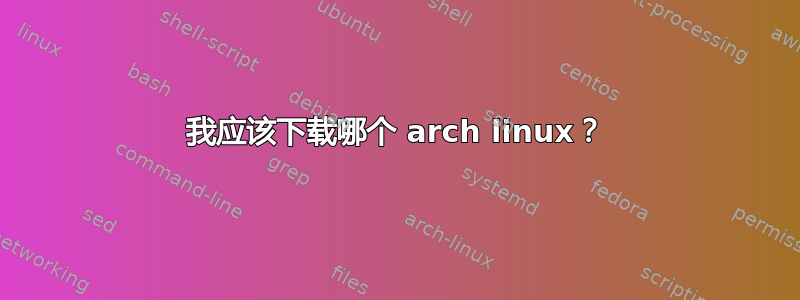 我应该下载哪个 arch linux？