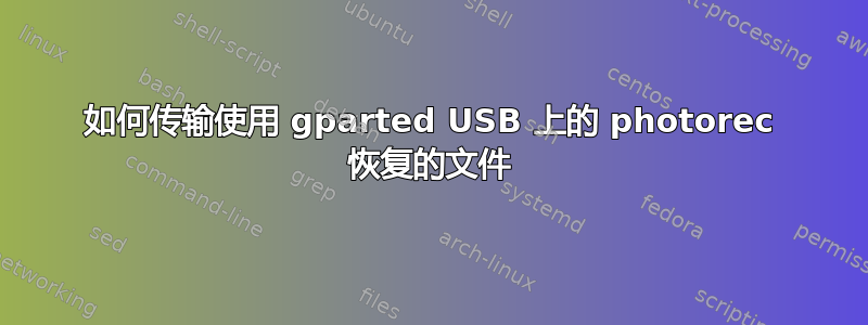 如何传输使用 gparted USB 上的 photorec 恢复的文件