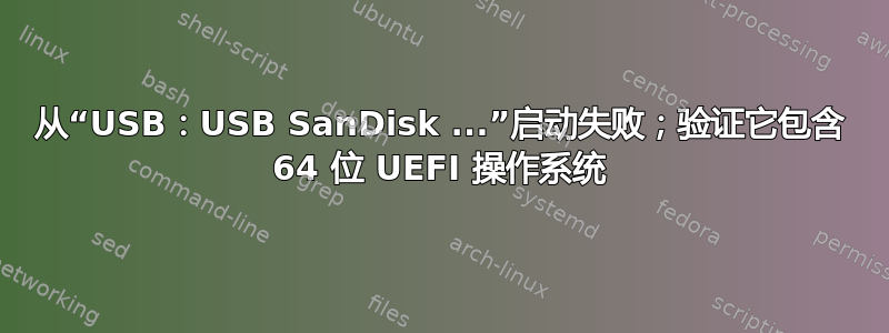 从“USB：USB SanDisk ...”启动失败；验证它包含 64 位 UEFI 操作系统