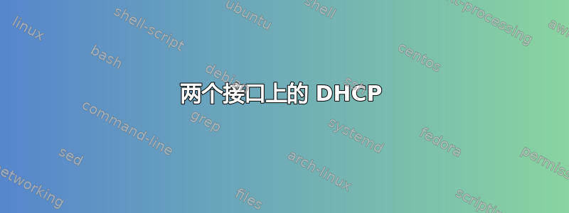 两个接口上的 DHCP