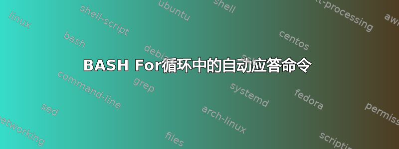 BASH For循环中的自动应答命令