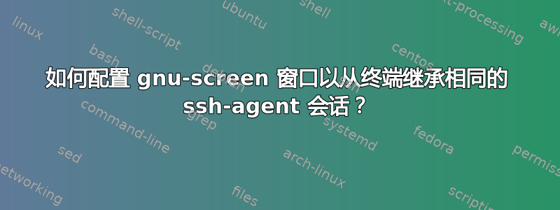 如何配置 gnu-screen 窗口以从终端继承相同的 ssh-agent 会话？